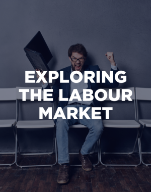Exploring the labour market